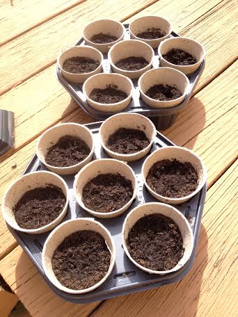 Vegetable Container Gardening2