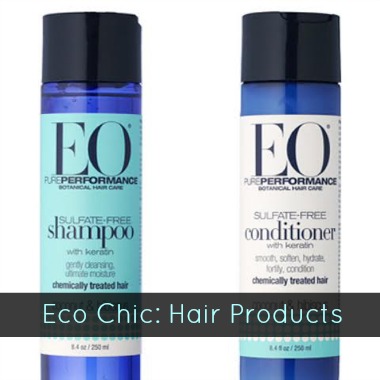 eco chic hair products