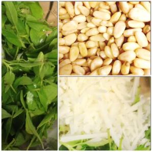 basil pesto recipe fabulously disheveled