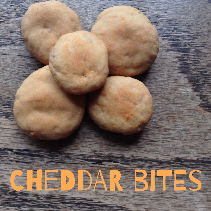 cheddar dog treats
