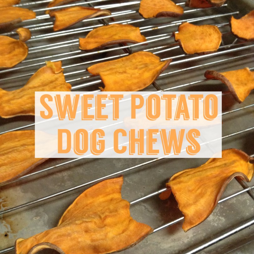 sweet potato dog chews