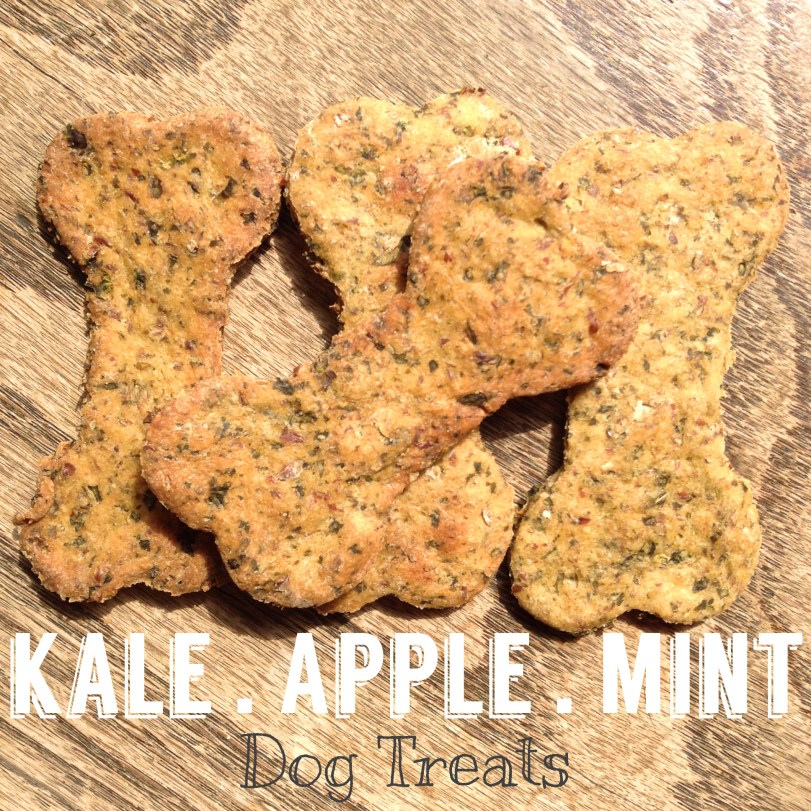 kale apple mint dog treats